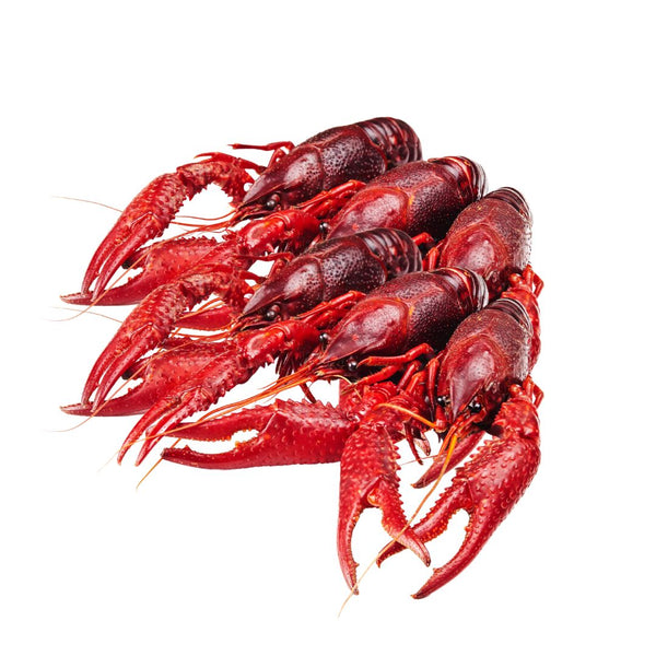 Ferskvannskreps 1kg
