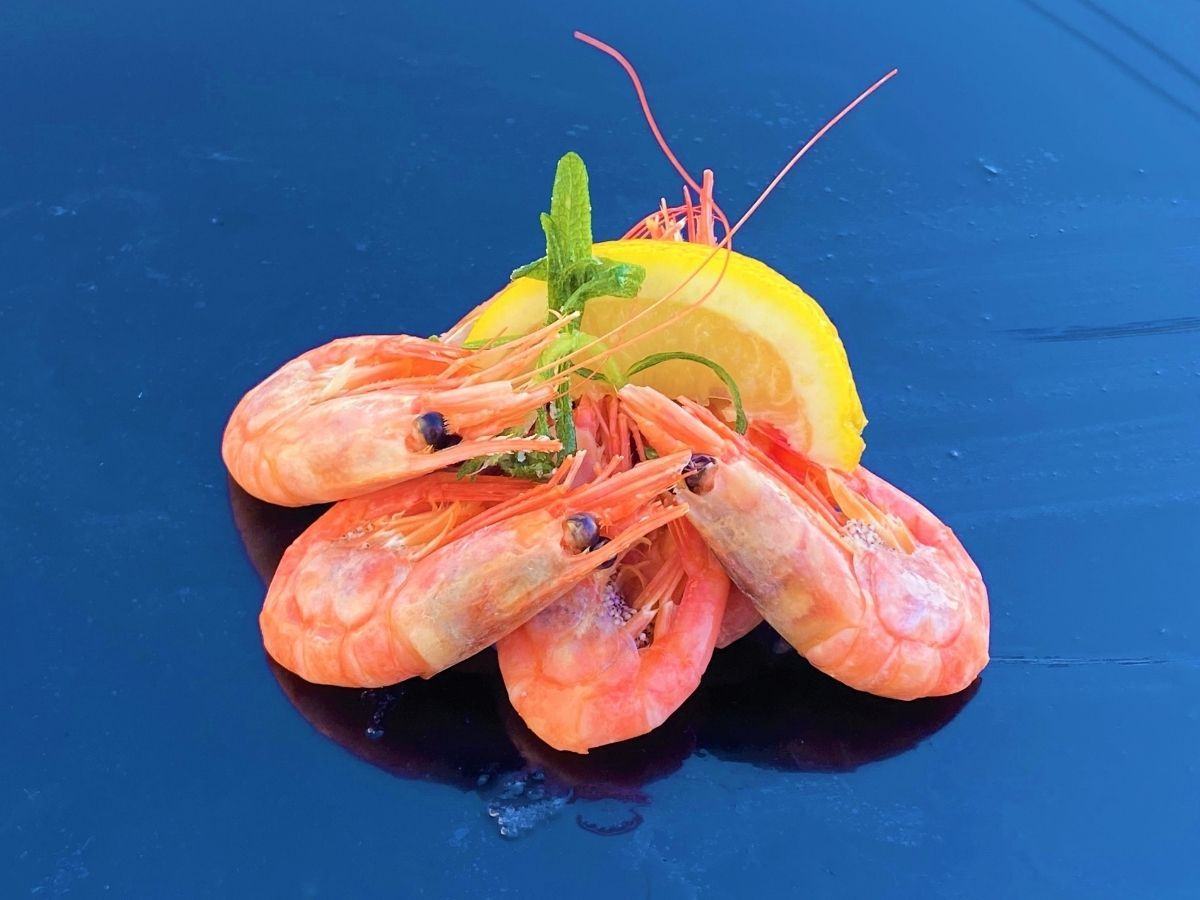 Reker L 50/70 fra Nordøst Atlanteren – Havsmat