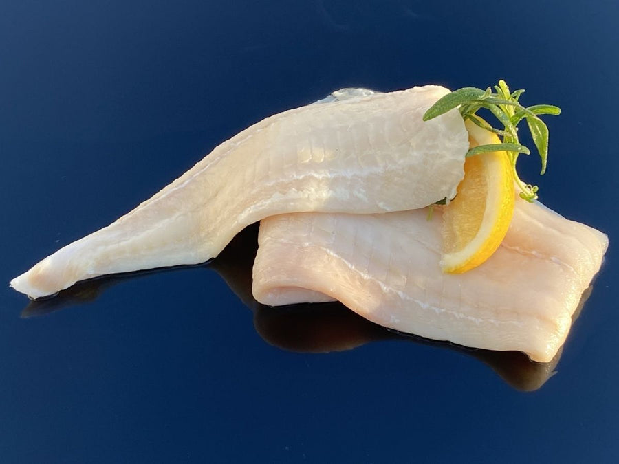 Rødspette – Havsmat
